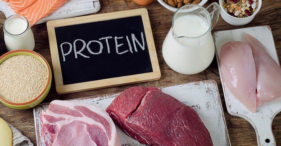 proteini