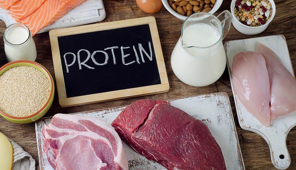 proteini